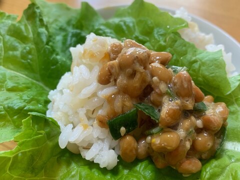 納豆ご飯の、サンチュ巻き